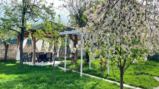 Gabala Garden & Mountain View Villa - Gabala - 2