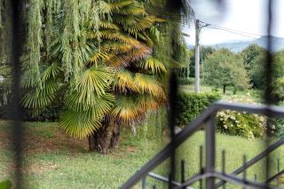 Unique Lake View In Green Park - 2