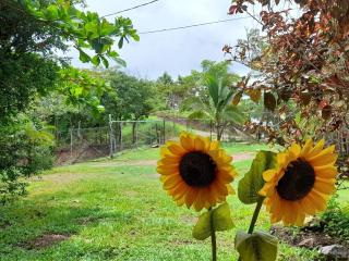 Casa Rústica Rancho de Lía- Vacacional - 5