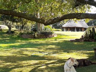 Tree Tops Guest Farm - 5