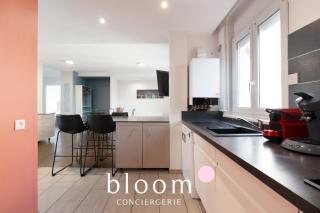 Nancy Plein Centre 6 Voyageurs - Nancy - 2