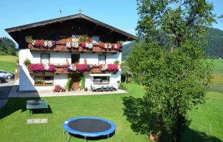 Hinterankerwald - Walchsee - 2