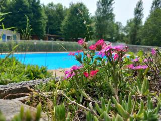 Mobil Home La Belle Vie - 2