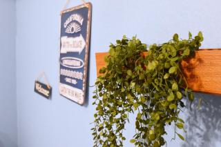 Shinozaki Kodate - Vacation STAY 16392 - 6