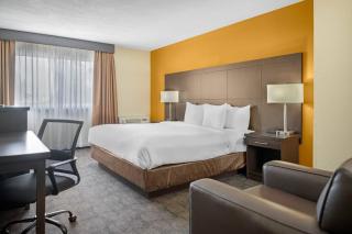Quality Inn & Suites - Bathurst - 2