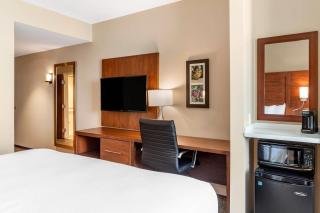 Comfort Inn & Suites - City in the Village of Clarkson - 1