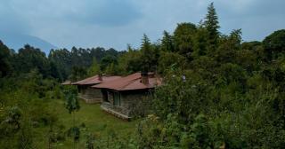 Mountain Gorilla View Lodge - 9