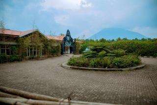 Mountain Gorilla View Lodge - 8