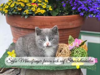 Hintergraber Hof - Lenggries - 6