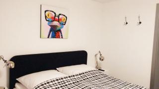 "Gruppenspaß" im schönen Ferienhaus für 12 Personen und Hund im Oberharz - 5