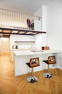 LuxeLoftPrague apt2 - 2