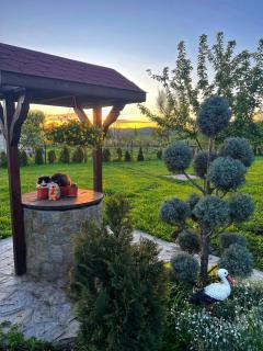 Guesthouse Greenview - Drenovo - 9