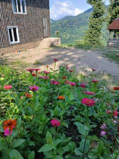Daily guest house Sim - Sım - 9