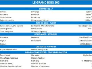 Résidence Grand Bois B - CONFORTABLE 2 PIECES, SKIS AUX PIEDS ET PROCHE DES COMMERCES MAE-3354 - 3