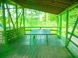 Nasu-gun - House - Vacation STAY 9032 - Anazawa - 5