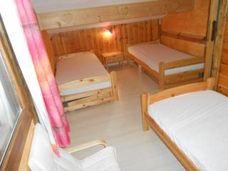 Etendard N 522 - 4P7 - Les Deux Alpes - 6