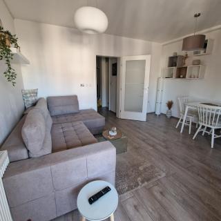River Apartment - Paraćin - 8