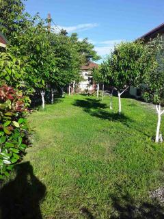Tamuna's Avlabari house with garden - 3