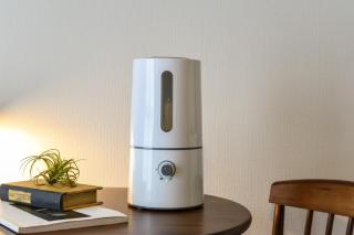 Florish 67 - Vacation STAY 15424v - 1