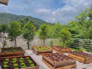 Đạ Lạch Homestay - 5