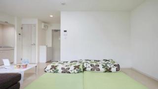 Marvelous Higashioi - Vacation STAY 13012v - Tokyo - 1