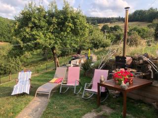 Maison pittoresque à Sainte-Croix-aux-Mines, vue sur la montagne - 3