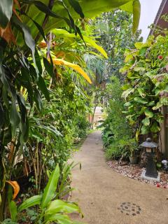 Fisherman's Village Samui Yoga Retreat - 7