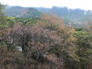 Trust Maison Katase - Vacation STAY 24205v - Izu - 4