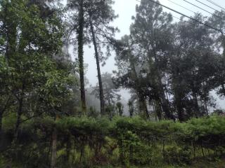 Cómodo alojamiento en Sumpango - Sumpango - 5