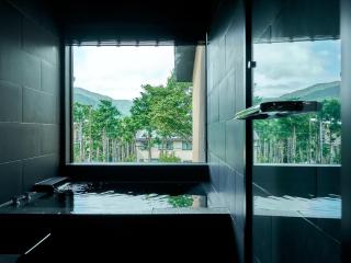 Rakuten STAY VILLA Hakone Sengokuhara South Wing 103 BBQ Terrace capacity of 10 persons - Hakone - 8