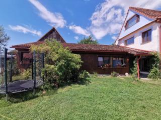 Vurpăr Blue House - Vurpăr - 0