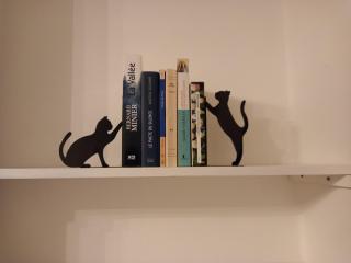 Martignat Les Chats - 2