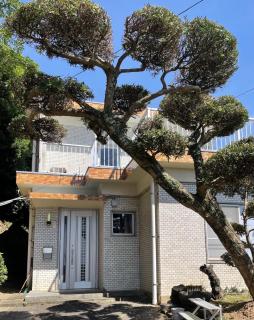 Watatsumi no Yado 1981 - Vacation STAY 55945v - 7