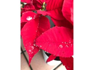 Ashibidoro Trailer camp - Vacation STAY 96495v - 9