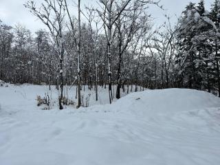 niseko kamahale village - Vacation STAY 85808v - 8