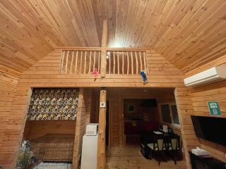 Biwako Hills Resort - Vacation STAY 99556v - Takashima - 3