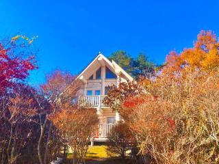 Polar Haus Canadian NishiKaruisawa1 - Vacation STAY 07669v - 9