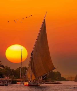 king of love boat - - 0