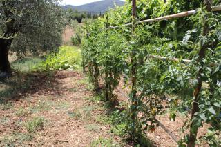 Alle Preci Country house - 6