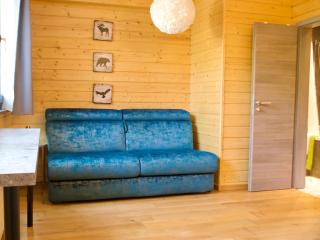Chalet Hug studio - fun or relax, business & families - Arzier - 8