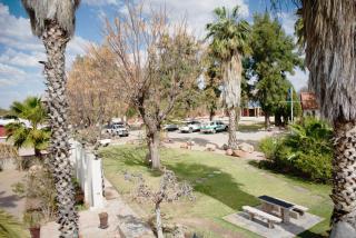 Goba Lodge & Rest Camp - Gobabis - 9