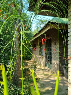 Mackers Self Catering Cottages - 6