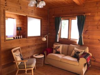 Swiss Chalet - Vacation STAY 11450v - 9