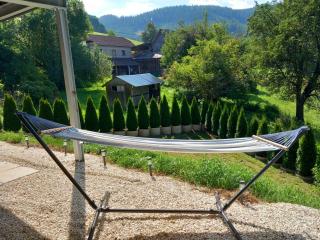 Alm-Chalet in der Nähe vom Klippitztörl - 7