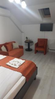 Pensiunea Apartamente 9 - Baile Felix - 9