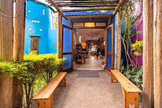 Chameleon Hill Forest Lodge - Bwindi - 5