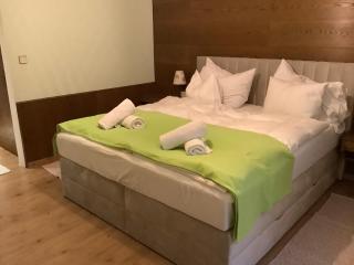 Gasthaus 3-Länderblick Mönichkirchen - Mönichkirchen - 9