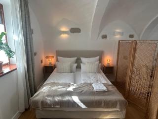 Boutique Hotel am Schillerplatz - Dresda - 3