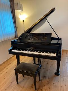 The Villa with a YAMAHA C6X - Villa Muse Okinawa- Vacation STAY 43827v - 6