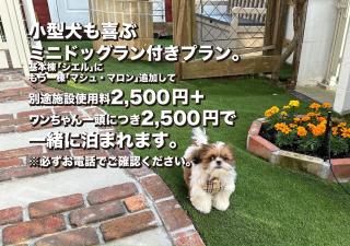 Guest House CHALET SIELU - Up to 4 of SIELU & 5-6 of SAN-CASHEW or with dogs- Vacation STAY 68051v - 9